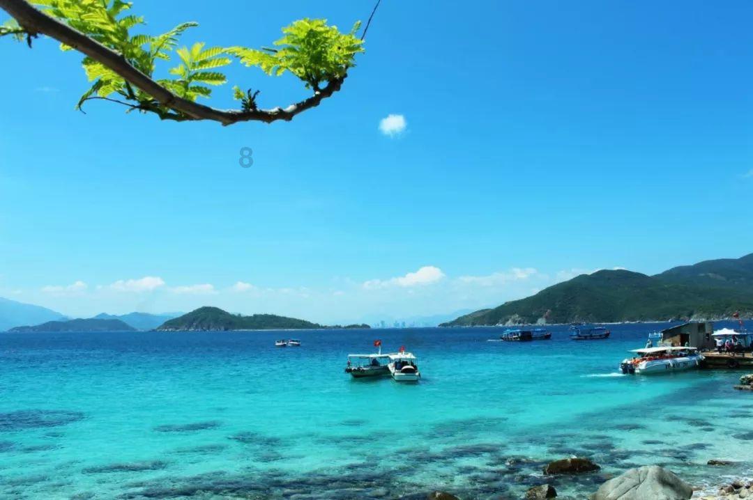孤独的流浪者救援